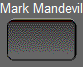 Mark Mandeville